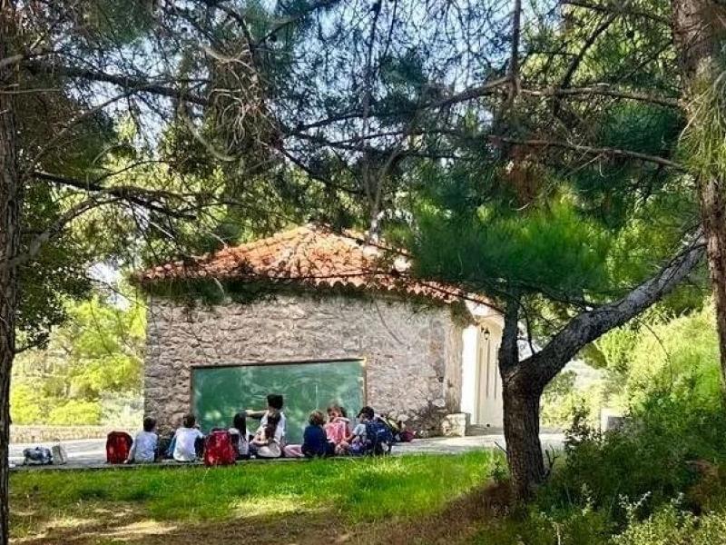 Οι αταξίες του ιδιωτικού σχολείου του «βουνού» Ataxia στο Στείρι Βοιωτίας