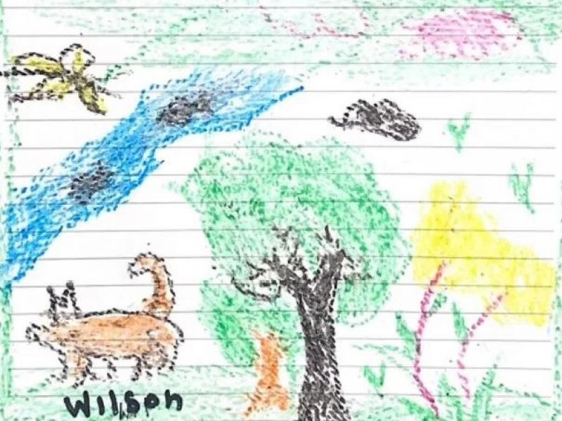 Κολομβία: Τα παιδιά ζωγραφίζουν τον σκύλο που τους έσωσε στη ζούγκλα