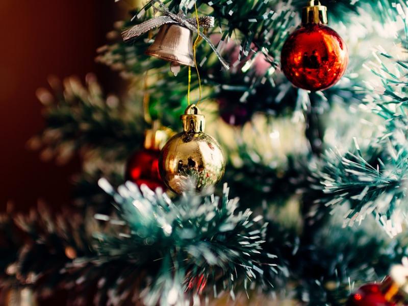 Ανακύκλωση των χριστουγεννιάτικων δέντρων: Πότε ξεκινάει