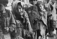 Γενοκτονία των Αρμενίων