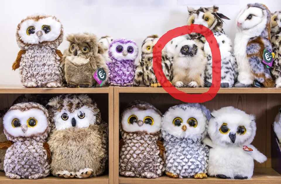 owl-solved-compressed.jpg