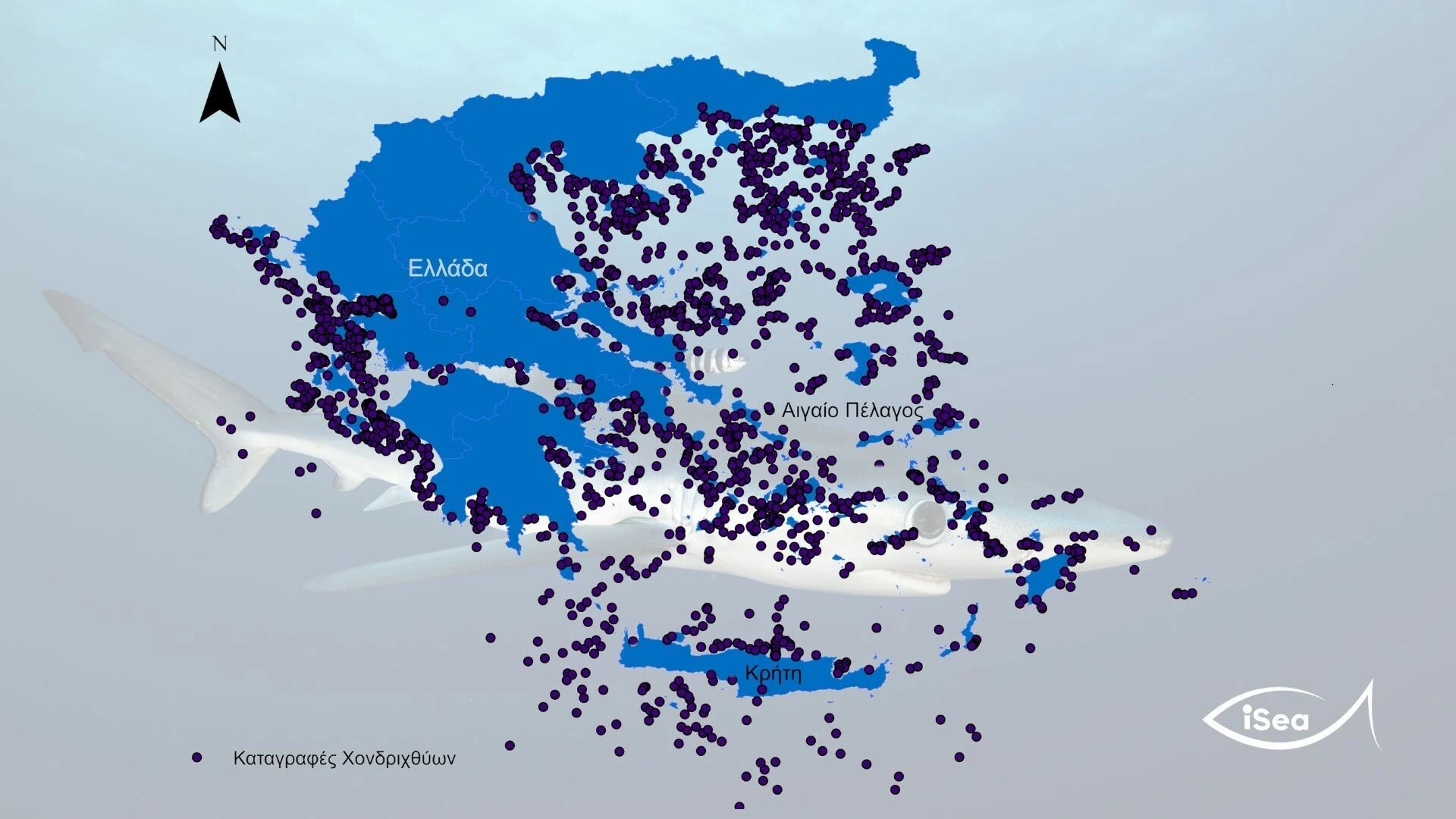 Χάρτης με καρχαρίες σε ελληνικές θάλασσες