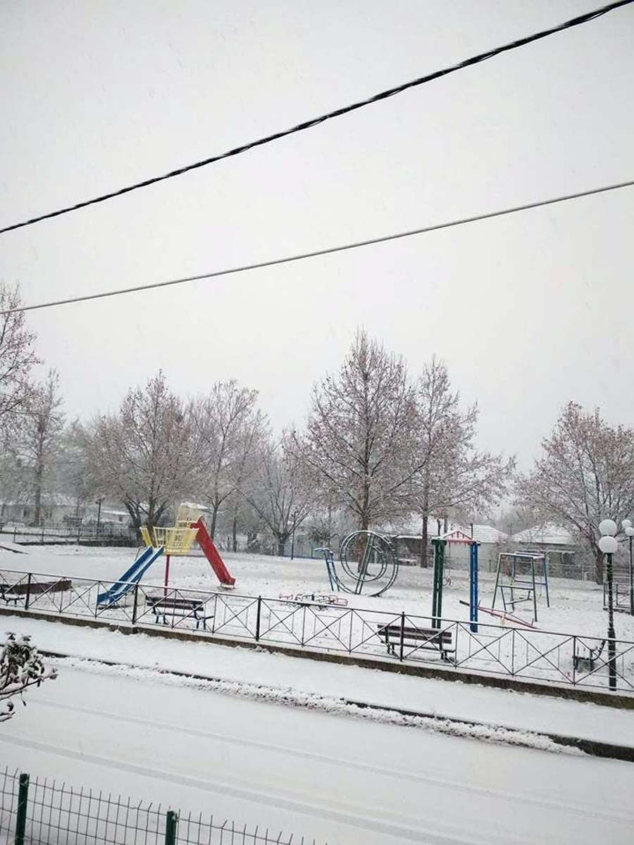Χιόνι στη Θεσσαλία 