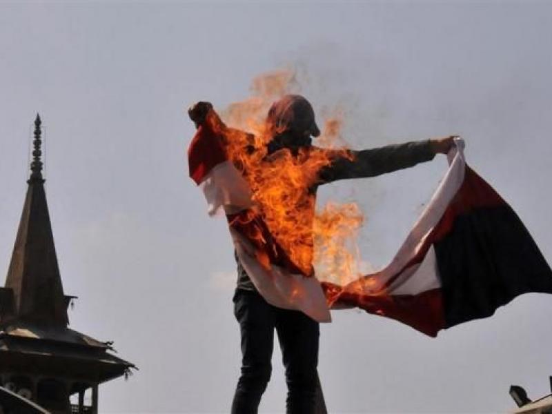 14912912.jpg Thumbnail