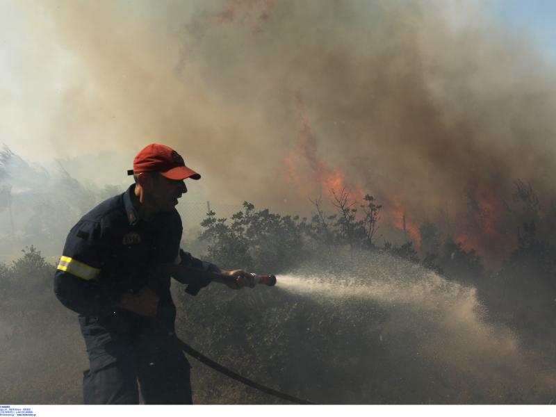 Κικίλιας για πυρκαγιά στο Άλσος Βεΐκου: «Προσήχθησαν 3 ανήλικοι - Εφιστώ την προσοχή των γονιών»