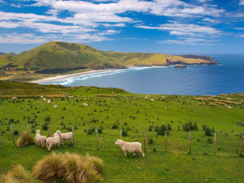 Αυτή είναι η ομορφότερη χώρα του κόσμου έχει περισσότερα πρόβατα παρά ανθρώπους