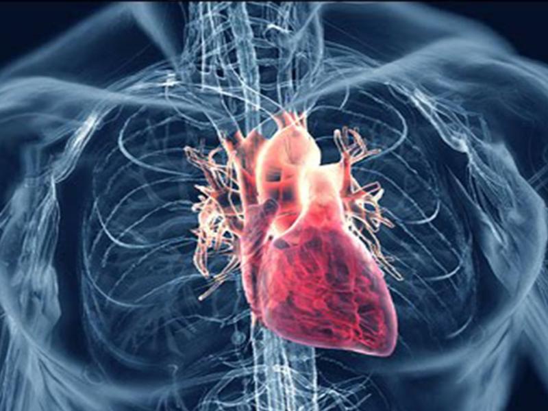 Στένωση της αορτικής βαλβίδας: Ένα πρόβλημα μπορεί να οδηγήσει σε καρδιακή ανεπάρκεια