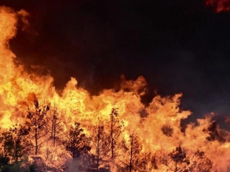 Μεγάλη φωτιά καίει δασική έκταση στη Μυτιλήνη