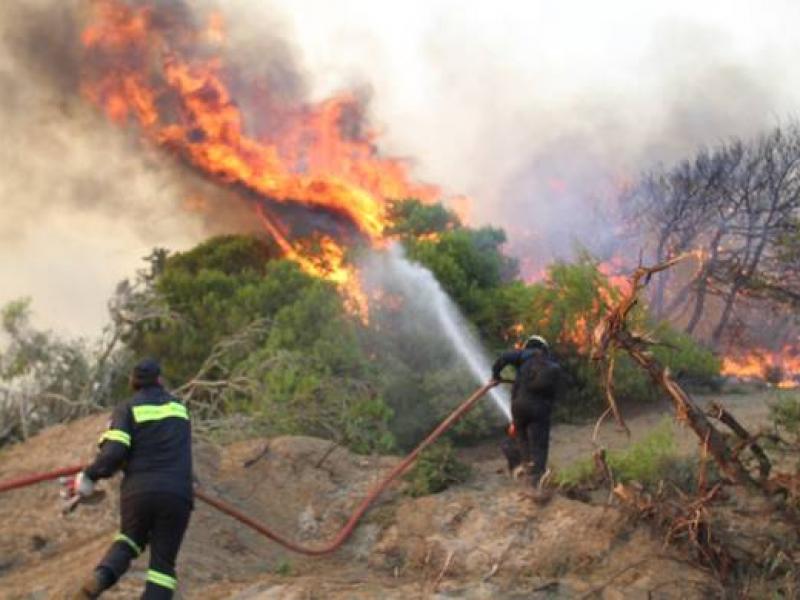 Λουτράκι: Φωτιά σε δασική έκταση 