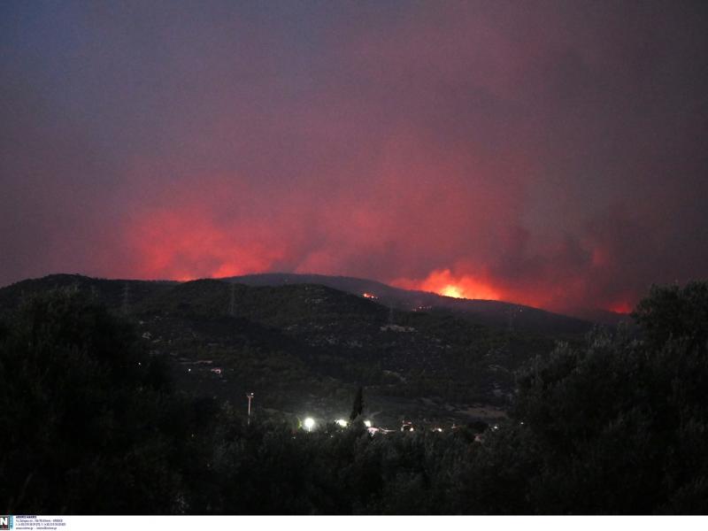 Φωτιά στην Εύβοια