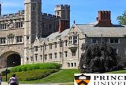 princeton