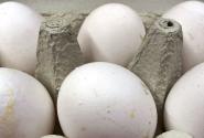 eggs-1021x576.jpg