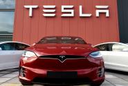 Μυρμήγκια εναντίον Tesla: ο κολοσσός "μετακομίζει" τις μυρμηγκοφωλιές